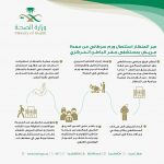 الذهب يصعد 0.2 % بدعم نزول الدولار وآمال التحفيز