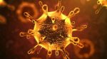 الصحة الكويتية : لم نسجل أي إصابة جديدة بفيروس كورونا في الـ 24 ساعة الماضية