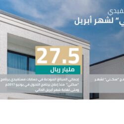 أصحاب السمو أمراء المناطق يعقدون اجتماعهم السنوي الثامن والعشرين عبر تقنية الاتصال المرئي