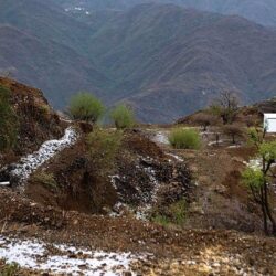 شرطة حائل تتمكن من القبض على مواطنين بحوزتهما أسلحة نارية ومواد مخدرة