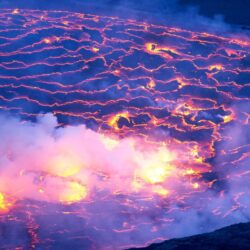 “الصحة”: تسجيل 14 وفاة و1183 إصابة جديدة بفيروس “كورونا” وشفاء 1040 حالة