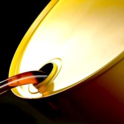 رسمياً: السعودية تحظر الاستيراد من 11 مصنع دواجن في البرازيل