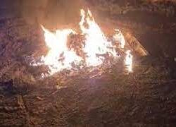 الدكتور محمد بن عبد الله الحربي يشيد بالمعرض الأول للفنون البصرية الذي أقامته جمعية كيان باحتفالها باليوم العربي لليتيم ” 2ـ2″