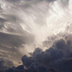 فرنسا.. رجل يهاجم شرطية بسكين ويلحق بها إصابات بالغة