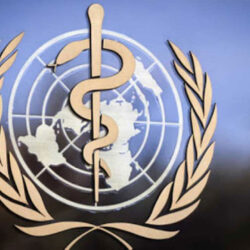 نائب أمير الشرقية يوجه بإيجاد مقر ثابت ونظامي ومجهز لبائعة الخضار المتضررة بالدمام