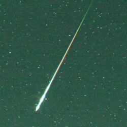 وفاة مارادونا.. لجنة التحقيق تكشف معلومات صادمة