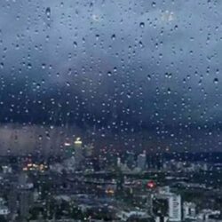 وفاة مارادونا.. لجنة التحقيق تكشف معلومات صادمة