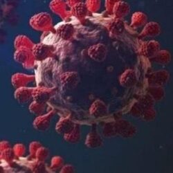 سفارة المملكة في مدريد: قرار السفر لإسبانيا مقيد حتى 31 مايو