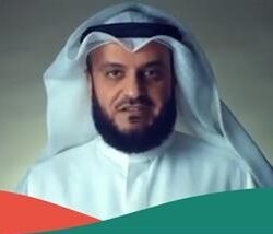 الصناعات العسكرية..خطوات متسارعة نحو التوطين