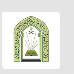 د/ حواء القرني الخطوط السعودية .. قفزات كبيرة وسريعة