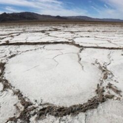على مدار الساعة.. رئاسة الحرمين: تعقيم وتعطير سجاد الحرم وغسل 1500 سجادة أسبوعياً