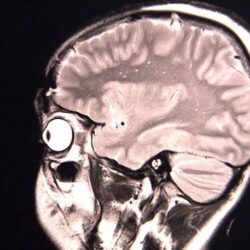 “العثيمين” يطالب “قرداحي” بالاعتذار للسعودية والإمارات واحترام مشاعر الشعب اليمني