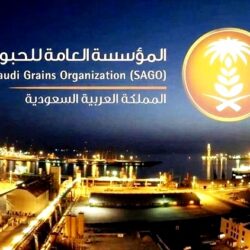 #التحالف يدمر مسيرة حوثية أطلِقت باتجاه #المملكة