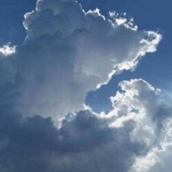 فيديو.. لماذا استأجر رجل أعمال امرأة لتقوم بصفعه؟