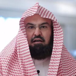 فيديو مرعب.. حية كوبرا عملاقة تثير الذعر في تايلاند