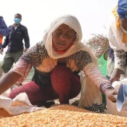 متحدث ‎الأرصاد يكشف عن موعد الموجة الباردة القادمة والمدة المتبقية من الشتاء