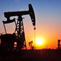 أطباء تتسول وحوامل تئن وحرب قاتلة.. المجاعة تضرب “تيغراي” وتهدد الملايين