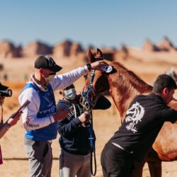 الكاتبة غادة طنطاوي ضمن ١٠٠ إسم لسيدات ناجحات في معرض الكتاب الدولي في القاهرة.