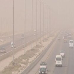 الإطاحة بوافدين تخصصوا في تحويل نشارة الأخشاب إلى “عود طبيعي”