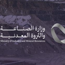 مخالفون ومقيم في قبضة أمن عسير