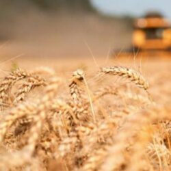 قرار “التحالف” بوقف العمليات العسكرية في اليمن يدخل حيز التنفيذ