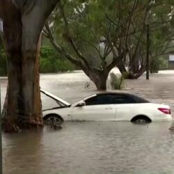 هل امتلاك سجل أو نشاط تجاري يتعارض مع صرف المعاش؟.. “التأمينات الاجتماعية” تجيب