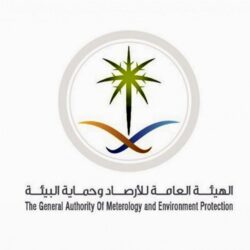 شرطة الرياض: ضبط 3 مواطنين وسوريين اثنين ارتكبوا عدة جرائم