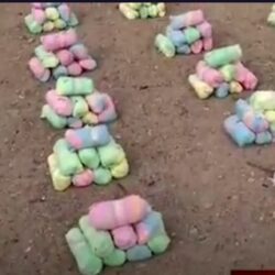 لخلاف بينهما.. مواطن يقتل زوجته أمام طفليها أول أيام عيد الفطر بـ”رجال ألمع”