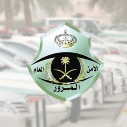 شرطة الرياض تسترد 6 مركبات مسروقة وتقبض على سارقيها