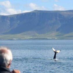 إصابة 9 أشخاص بينهم طفل في إطلاق نار بولاية “نيو جيرسي” الأمريكية
