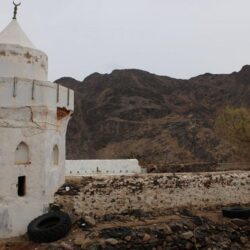 “العدل” تعلن تسجيل 800 خبير مختص في منصة “خبرة”