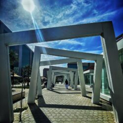 وزير الخارجية يستعرض مع نظيره الياباني أوجه التعاون بين البلدين