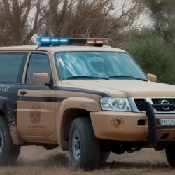 المملكة تشارك العالم في الاحتفاء باليوم العالمي للقهوة