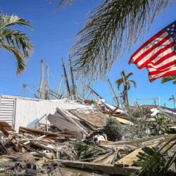 مصر تسمح بزراعة الأعضاء بعد 6 شهور