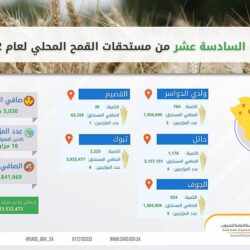 أمر أميري بقبول استقالة الحكومة الكويتية واستمرارها بتصريف الأعمال
