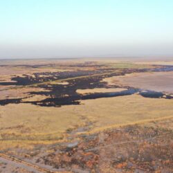 «العدل» تلغي شرط إضافة رقم قيد الدعوى العامة للتقدم بصحيفة جزائية