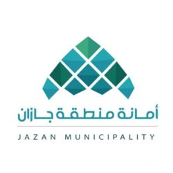 شركة محمد يوسف ناغي للسيارات تحصد جائزة “أفضل موزع إقليمي” لشركة هيونداي