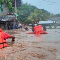 الدولار يكسر الأرقام القياسية في مصر