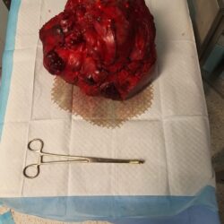 لصيدهم دون تصريح .. ضبط (4) مواطنين مخالفين لنظام البيئة في الوجه