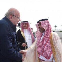 التجارة تعلن عن ⁧استدعاء منتجات الغسيل والتنظيف المنزلي (THE LAUNDRESS)