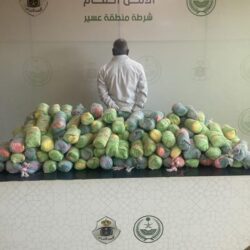 “الغذاء والدواء”: رصد مصنع أعلاف مخالف.. وضبط 15 طن من المنتجات