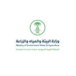 أولى وجهات #نيوم للسياحة البحرية الفاخرة.. سمو #ولي_العهد يعلن عن تطوير جزيرة #سندالة