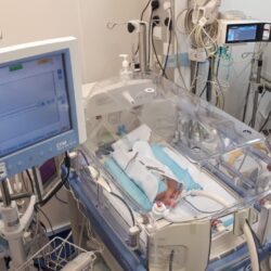 خادم الحرمين الشريفين يرأس جلسة مجلس الوزراء