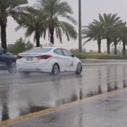 جمعية الزهايمر تنظم يومًا ترفيهيًا للمستفيدين