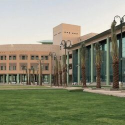 الأمير سلطان بن خالد بن فيصل رئيسًا تنفيذيًا للصندوق الصناعي