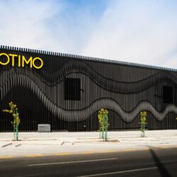 “الأمر بالمعروف” بالباحة تطلق فعاليات حملة (عليكم بسنّتي) في مطار الملك سعود وشرطة الحجرة