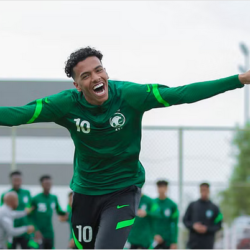 الرئيس السويسري الجديد يدعو مواطنيه للتكيف مع التضخم وأزمة الطاقة