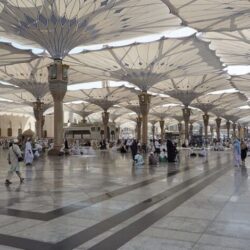 غدًا .. أمير حائل يرعى حفل سباق ميدان الفروسية (17) على كأس إمارة المنطقة