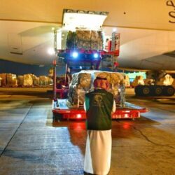 بداخل “الطماطم والرمان”..”الزكاة والضريبة والجمارك” تحبط تهريب مخدرات قادمة من الأردن