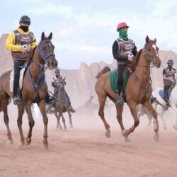 ضبط (8) متورطين في نقل وإيواء وتشغيل مخالفي أنظمة الإقامة والعمل وأمن الحدود